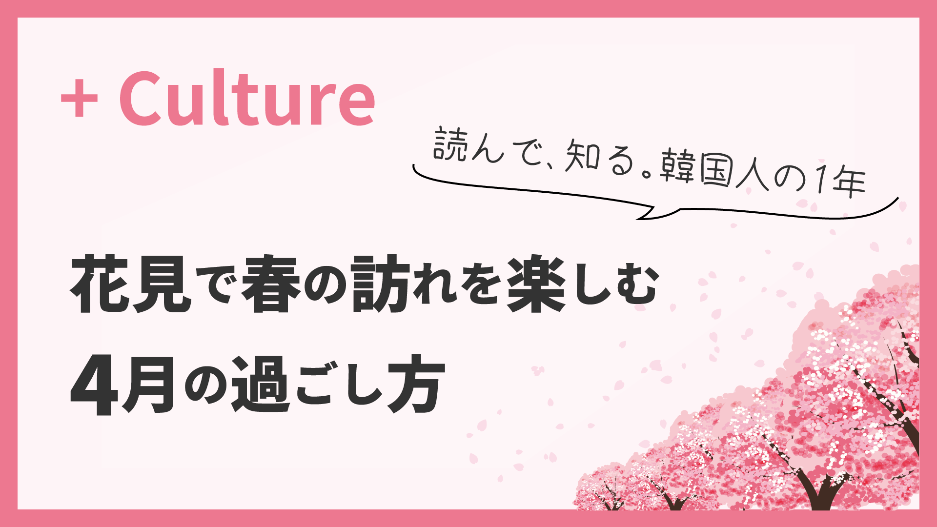 花見で春の訪れを楽しむ！ 読んで、知る。韓国人の1年＜4月＞